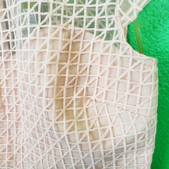 Gianni Bini Pink Sheer Mesh Crop Top Size 12 - Picture 6 of 11